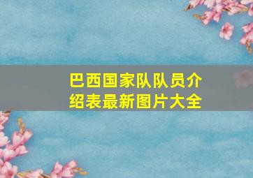 巴西国家队队员介绍表最新图片大全