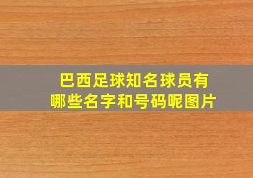 巴西足球知名球员有哪些名字和号码呢图片