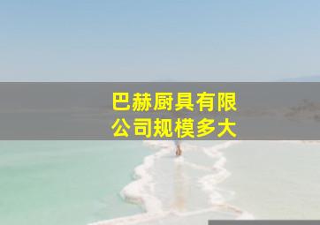 巴赫厨具有限公司规模多大