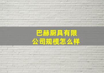 巴赫厨具有限公司规模怎么样