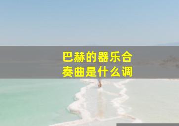 巴赫的器乐合奏曲是什么调