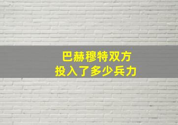 巴赫穆特双方投入了多少兵力