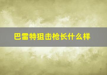 巴雷特狙击枪长什么样