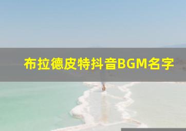 布拉德皮特抖音BGM名字