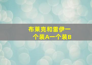 布莱克和雷伊一个装A一个装B