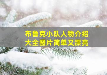 布鲁克小队人物介绍大全图片简单又漂亮