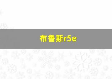 布鲁斯r5e