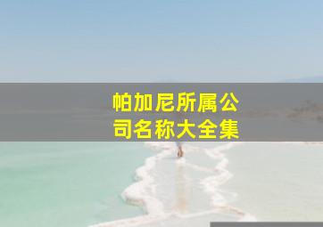 帕加尼所属公司名称大全集