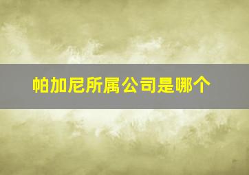 帕加尼所属公司是哪个