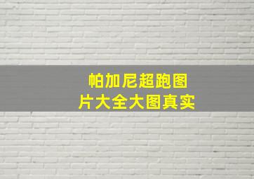 帕加尼超跑图片大全大图真实