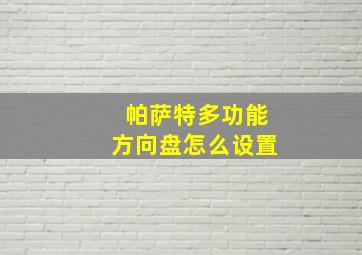 帕萨特多功能方向盘怎么设置