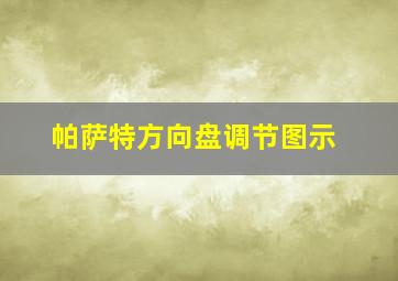 帕萨特方向盘调节图示