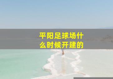 平阳足球场什么时候开建的