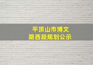 平顶山市博文路西段规划公示