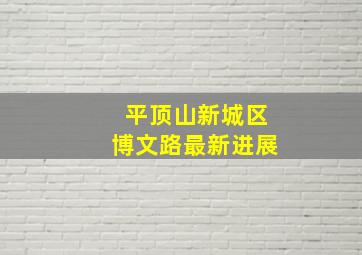 平顶山新城区博文路最新进展