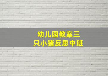 幼儿园教案三只小猪反思中班