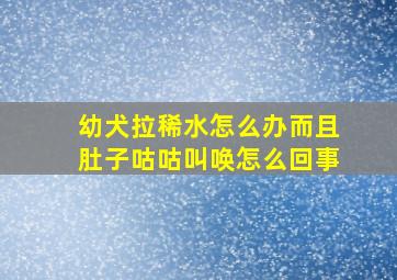 幼犬拉稀水怎么办而且肚子咕咕叫唤怎么回事