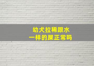 幼犬拉稀跟水一样的屎正常吗