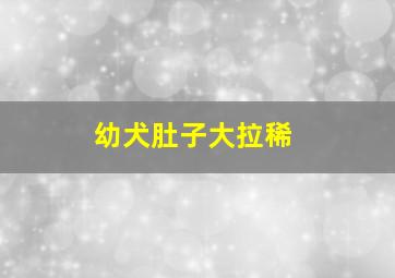 幼犬肚子大拉稀