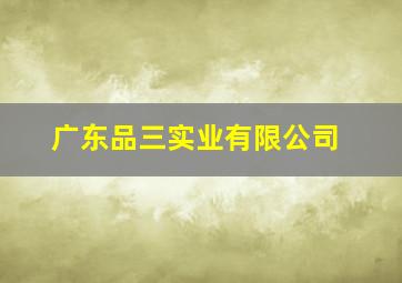 广东品三实业有限公司