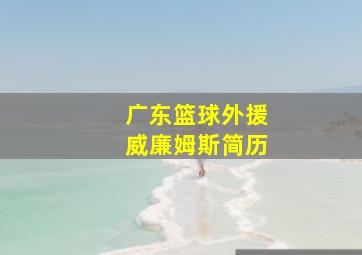 广东篮球外援威廉姆斯简历