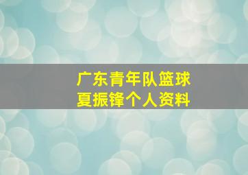 广东青年队篮球夏振锋个人资料