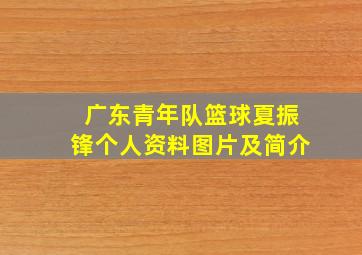 广东青年队篮球夏振锋个人资料图片及简介