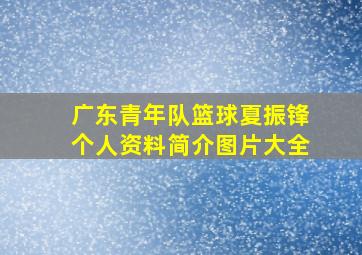 广东青年队篮球夏振锋个人资料简介图片大全