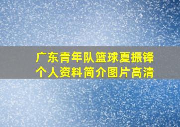 广东青年队篮球夏振锋个人资料简介图片高清