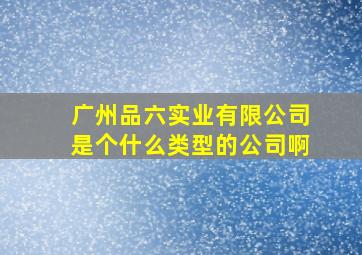 广州品六实业有限公司是个什么类型的公司啊