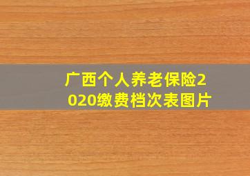 广西个人养老保险2020缴费档次表图片