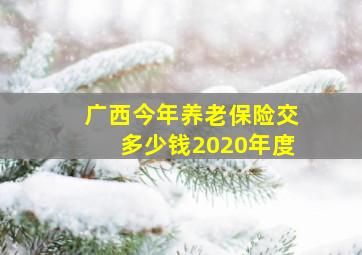 广西今年养老保险交多少钱2020年度