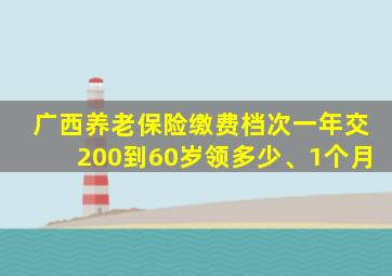 广西养老保险缴费档次一年交200到60岁领多少、1个月