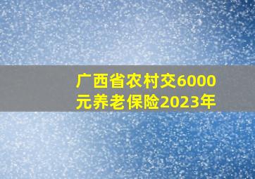 广西省农村交6000元养老保险2023年