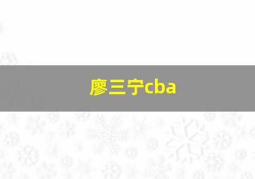 廖三宁cba