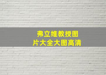 弗立维教授图片大全大图高清