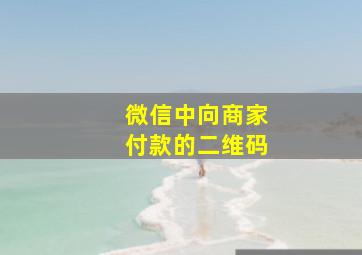 微信中向商家付款的二维码