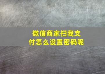 微信商家扫我支付怎么设置密码呢