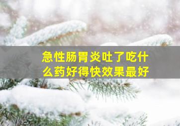 急性肠胃炎吐了吃什么药好得快效果最好