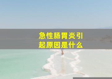 急性肠胃炎引起原因是什么