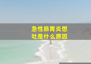 急性肠胃炎想吐是什么原因