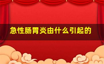 急性肠胃炎由什么引起的