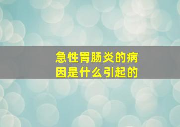 急性胃肠炎的病因是什么引起的