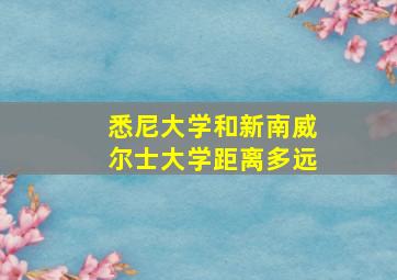 悉尼大学和新南威尔士大学距离多远