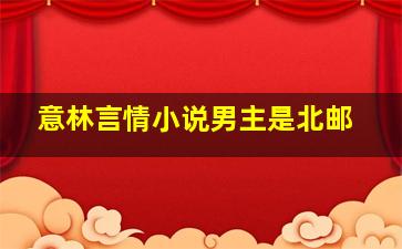 意林言情小说男主是北邮