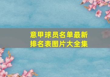 意甲球员名单最新排名表图片大全集