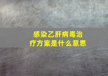 感染乙肝病毒治疗方案是什么意思