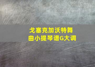 戈塞克加沃特舞曲小提琴谱G大调