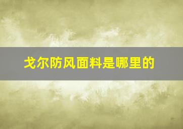 戈尔防风面料是哪里的