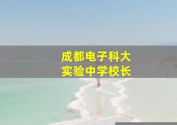 成都电子科大实验中学校长